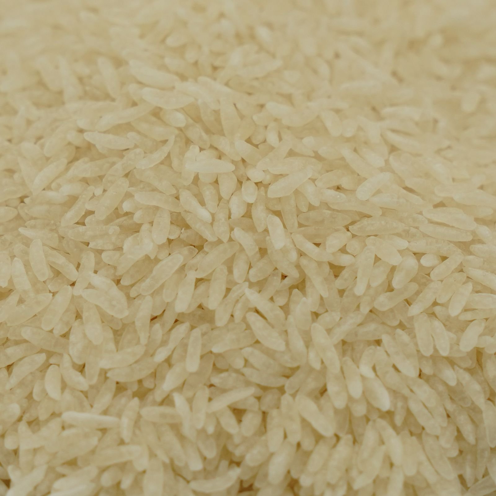 Shirataki Rice 1kg - Image 5